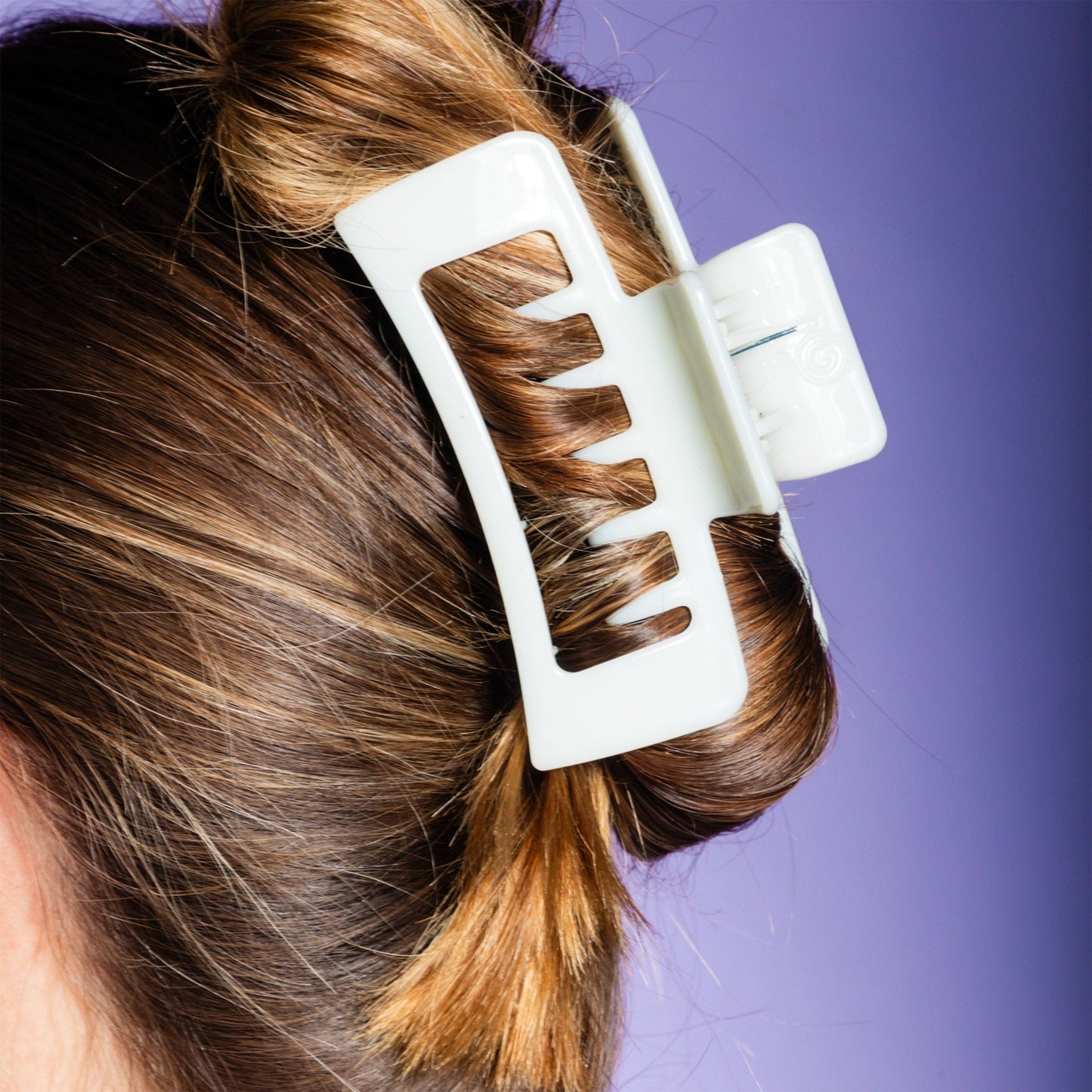 Rectangle Double Teeth Claw Clip Duo